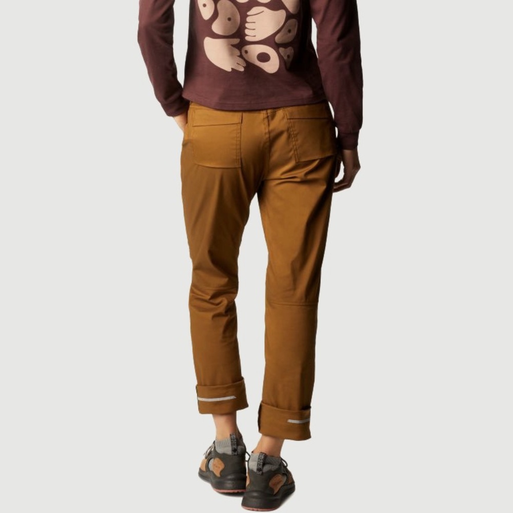 Mountain Hardware AP™ Pant